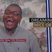 Prophetic Dream D Mice Redspace