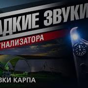 Звук Поклевки