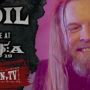 Soil Halo Live