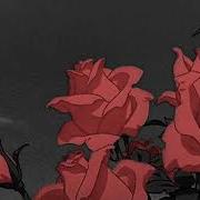 Roses Slowed Down