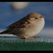 Весенне Танго Минус