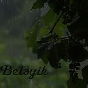 Biz Beleyik