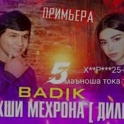 Бадик Хакикати Мехрона