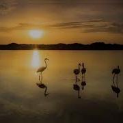 Сборник Грустных Нашидов