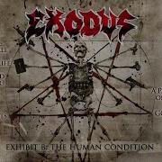 Exhibit B The Human Condition