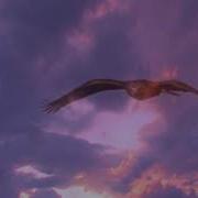 Посреди Донской Степи