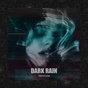 Dark Rain Triticum