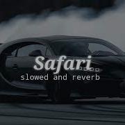 Safari Slowed