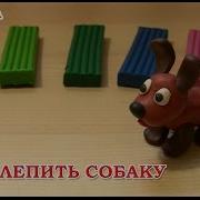 Собака Видео Лепка