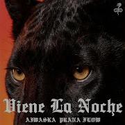 Viene La Noche