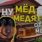 Ну Мед Медятина