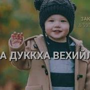 Песня Хайрулла