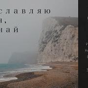 Альбом Петр Бальжик