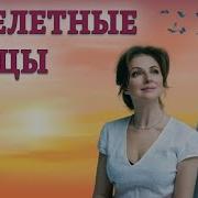 Из Сериала Перелетные Птицы