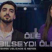 Tehmin Velizade 2024