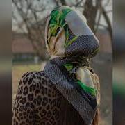 Са Коша Т1Е Хотталахь