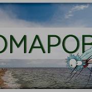 Нахрена Мне Комарово
