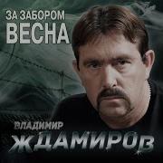 Зона Не Воля