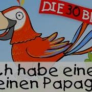 Papagei Lied