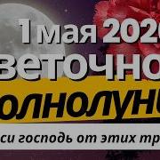 Встреча Под Луной 2026