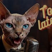 Я Вернулся Слишком Поздно Эмоциональный Джазовый Кот Night Whiskers