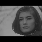 Владилен Присягин