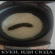 Куки Это Ты Здесь Насрал