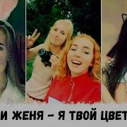 Я Твой Цветочек Твой Милый Ангелочек Тик Ток