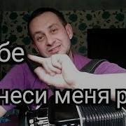 Ты Неси Меня Река На Баяне