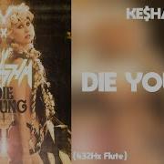 Kesha Die Young 432Hz
