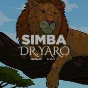 Dr Yaro Simba Visualizer Officiel Dr Yaro