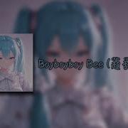 Boy Boy Boy Boy Bee