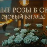 Паша Продустион Белые Розы
