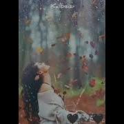 Ding Ding Elsen Pro Mp3