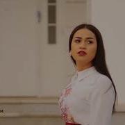 Dali Dali Amalia