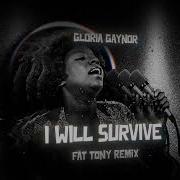 I Will Survive Remix
