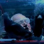 Fort Boyard Tete Chercheuse