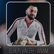 Elnur Valeh Anam