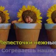 Мамины Цветочки Минус