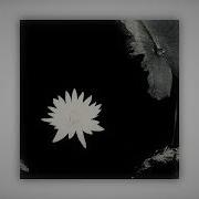 Наоборот Песня