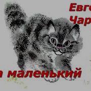Чарушин Тюпа Маленький
