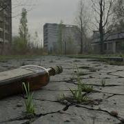 Радио Чернбыля Фляга Виски