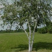 Осень В Душе