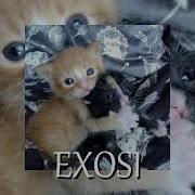 Грустные Песни Из Тик Тока