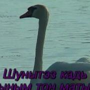 Минусовка Мон Удмурт