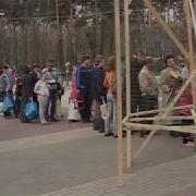 Здравствуйте Птицы