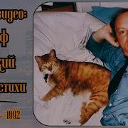 Бродский Стихи