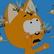 Йөрәк Сине Котэ