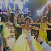 Shai Galis Simgerebi