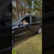 А Я Еду На Пугати Ая Качусь На Самокате